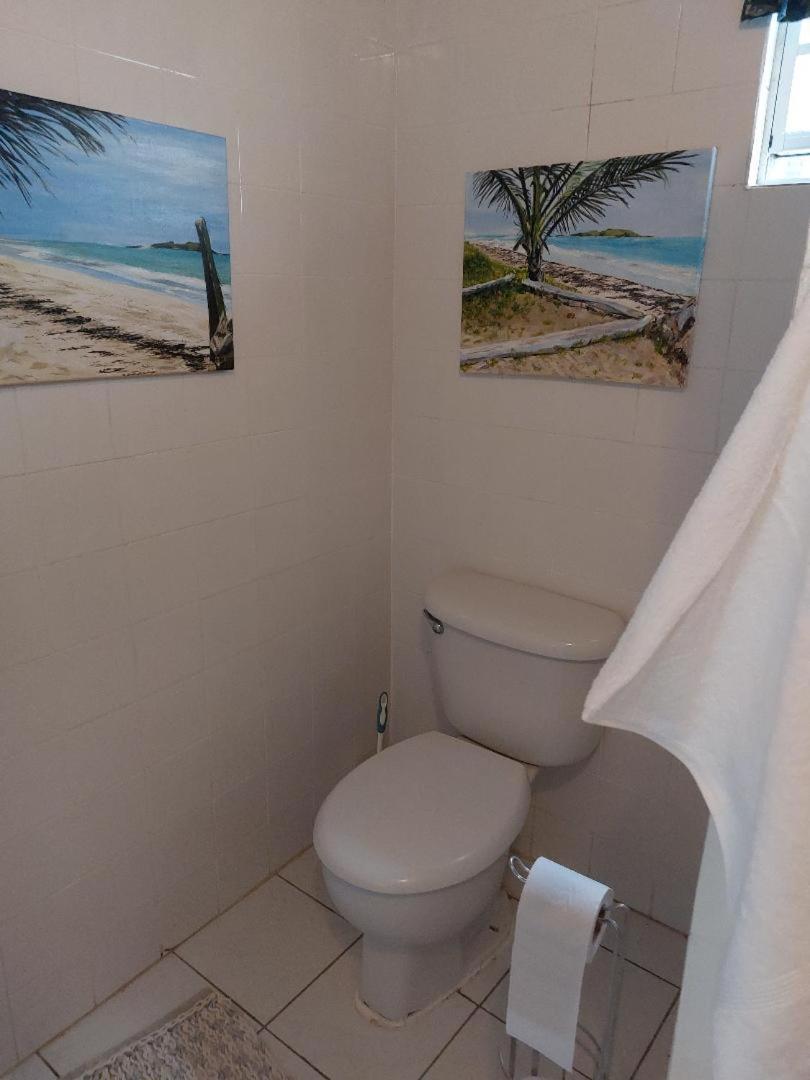 Selen'S Apartment In Ti Rocher Micoud Saint Lucia エクステリア 写真